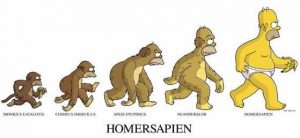 Homo Sapiens e tempi moderni